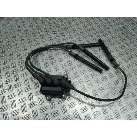 CEWKA ZAPŁONOWA RENAULT CLIO III ( 05-13 ) 1.2 16v 2007 0040100325 